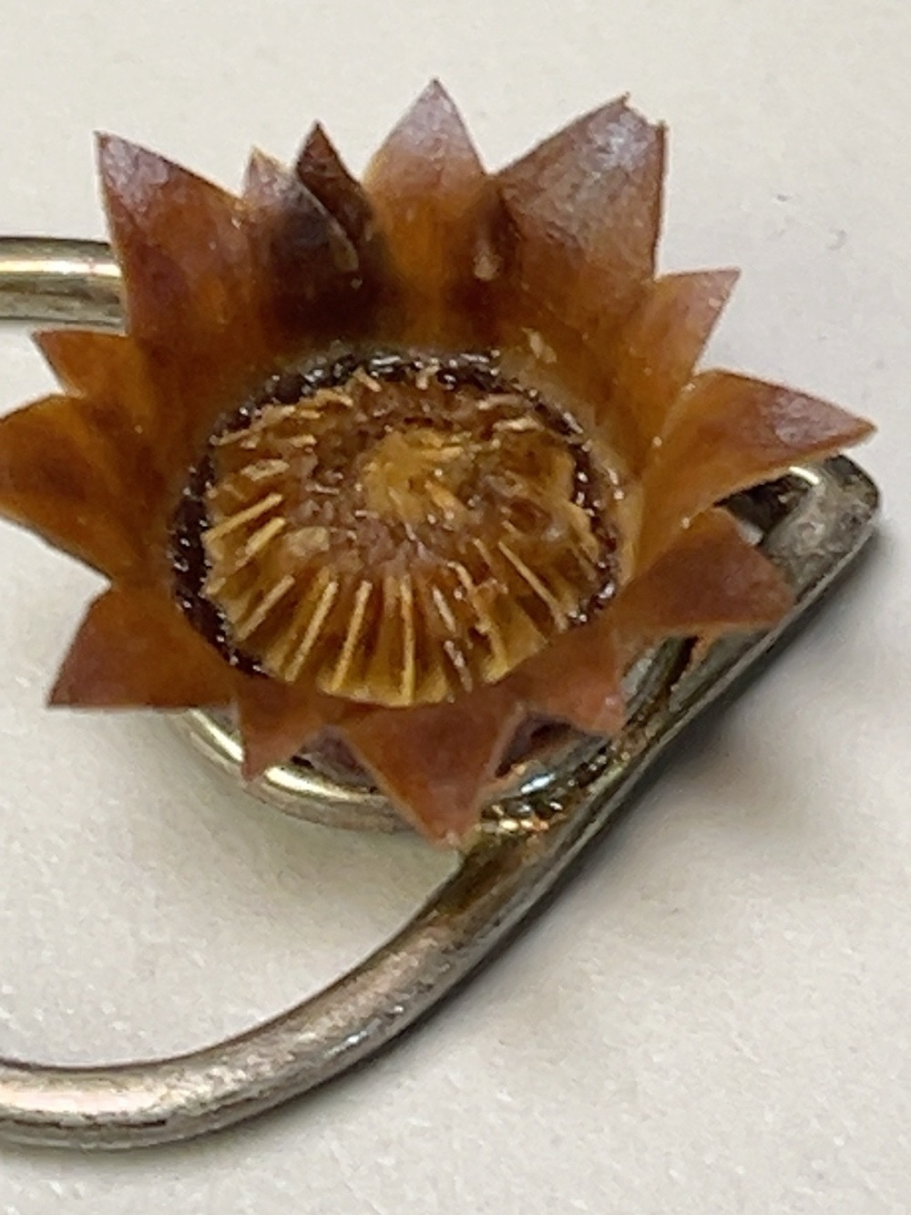 Israel 925 Sterling Silver Rose of Jericho Blessing Flower Pendant
